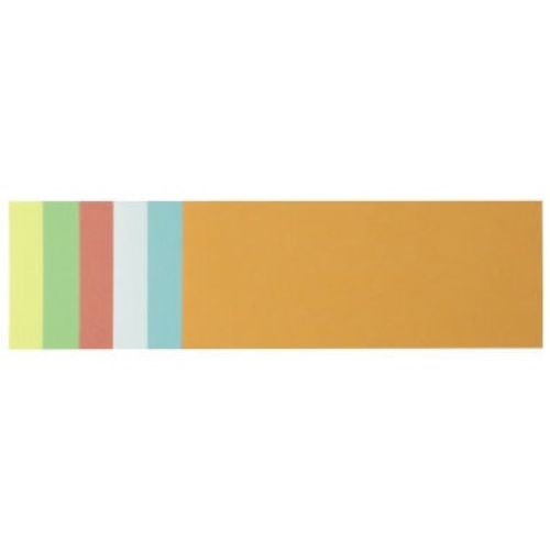 Soennecken Moderationskarte 4877 9,5x20,5cm sort. 250 St./Pack.