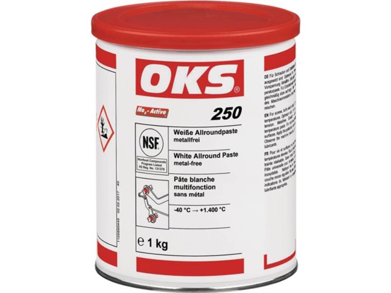 OKS 1105890445 Allroundpaste OKS 250 weiß 1 kg
