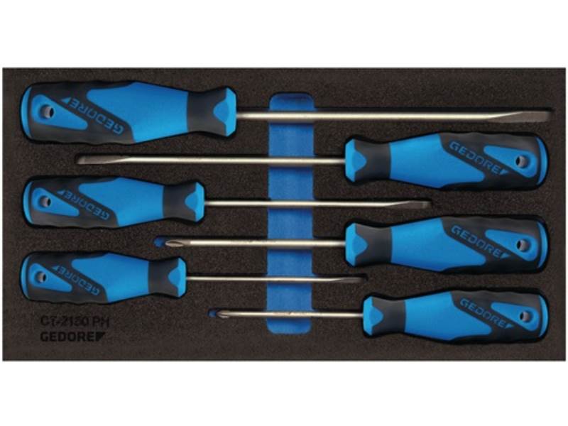 GEDORE 2309130 Werkzeugmodul 1500 CT1-2150 PH 6-teilig  1/3-Modul Schlitz / PH