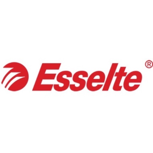 Esselte Sichthülle Standard Plus 56218 DIN A4 100 St./Pack.