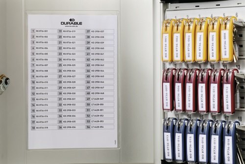 1952-23 Schlüsselschrank H280xB302xT118mm 1-türig Zylinderschloss Anzahl Haken