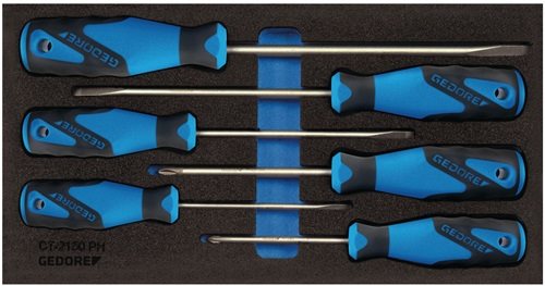 GEDORE 2309130 Werkzeugmodul 1500 CT1-2150 PH 6-teilig  1/3-Modul Schlitz / PH