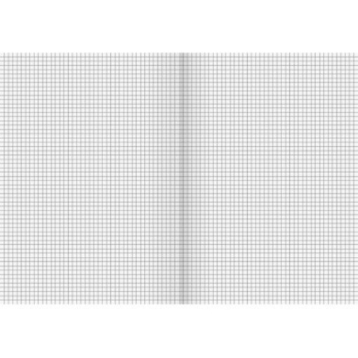 BRUNNEN Schulheft 104432202 DIN A4 32Blatt kariert