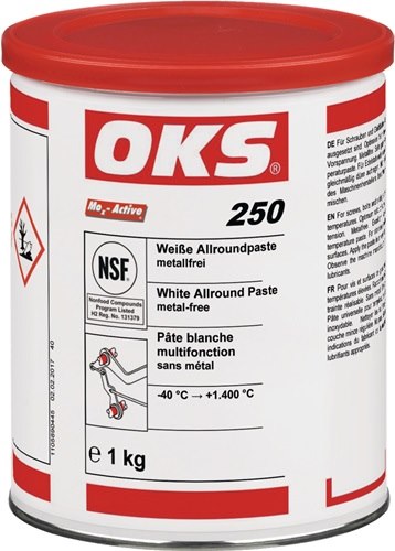 OKS 1105890445 Allroundpaste OKS 250 weiß 1 kg
