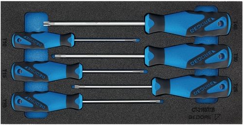 GEDORE 2309157 Werkzeugmodul 1500 CT1-2163 TX 6-teilig  1/3-Modul Schraubendrehe