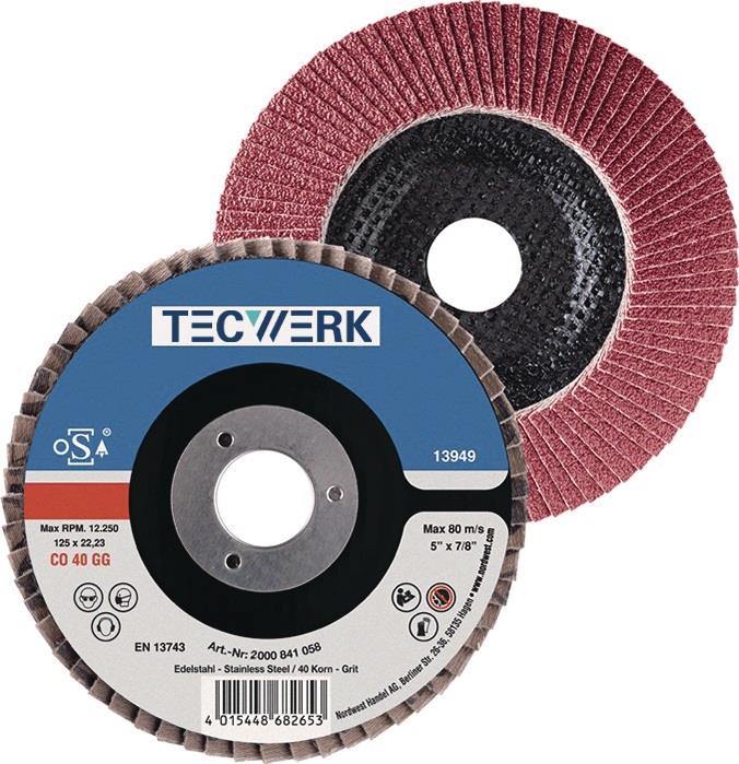 TECWERK  Fächerscheibe  Ø 125 mm Körnung 120 konisch INOX Keramikkorn CO