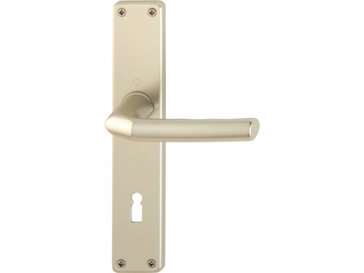 HOPPE 2533935 Langschildgarnitur Birmingham 1117/202SP Aluminium F2 OB 72 mm DIN