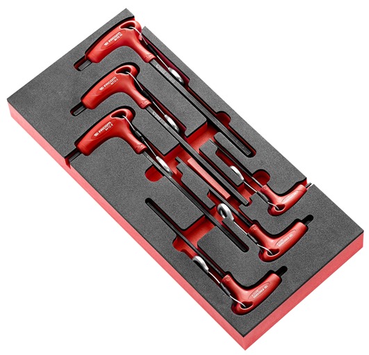Facom MODM.84TZJ6SLS Modul - Stiftschluesssel SLS, 6-tlg