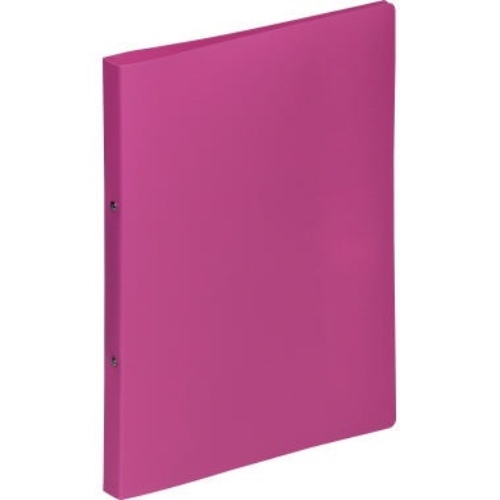 Pagna Ringbuch 20901-34 A4 16mm PP 2-Ring-Mechanik rosa
