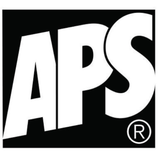 APS Serviettenhalter 11763 19x19cm Metall verchromt