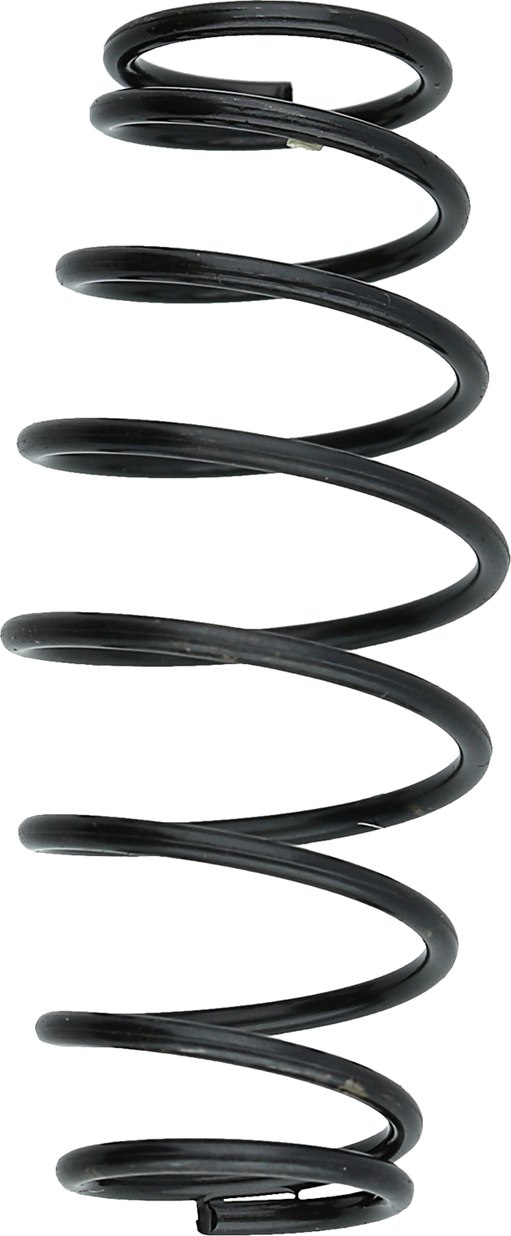 KS-Tools 515.1200-R042P Ventilfeder