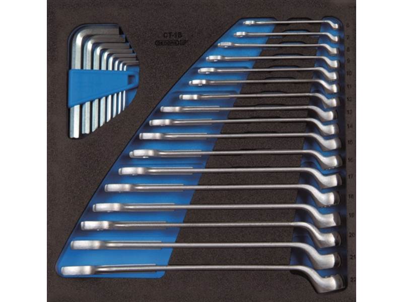 GEDORE 2308819 Werkzeugmodul 1500 CT2-1 B 25-teilig 2/3-Modul Ringmaul- / Stifts