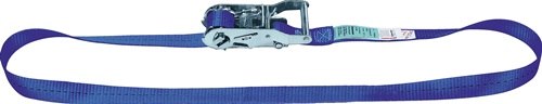 DOLEZYCH 42251001 Zurrgurt DIN EN 12195-2 Länge 4 m Breite 25 mm mit Ratsche LC