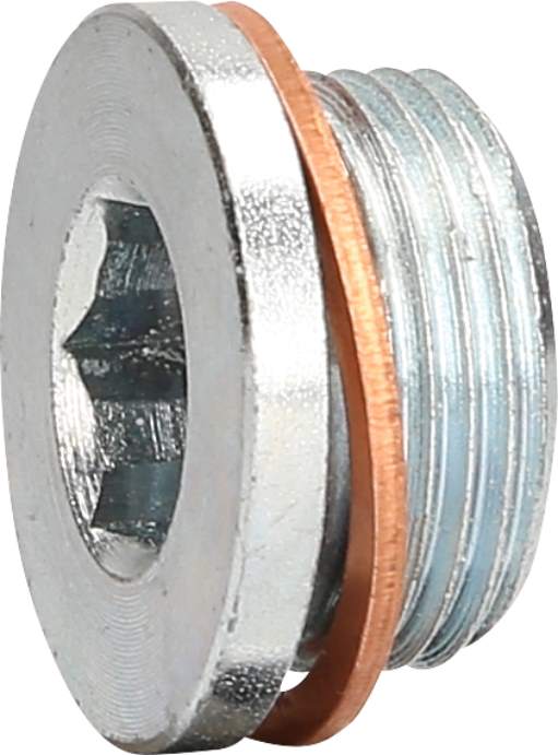 KS Tools 430.0602 Ölablassschraube M22 x 1,5 x 13 mm für Renault