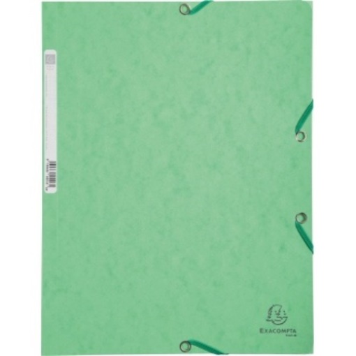 Exacompta Sammelmappe 55513E A4+ hellgrün