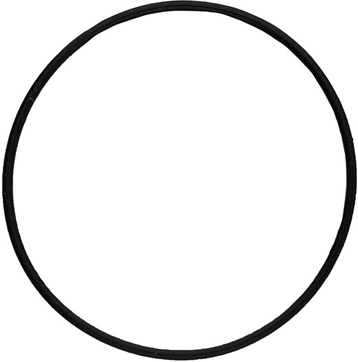 KS Tools 515.1625-R014P O-Ring