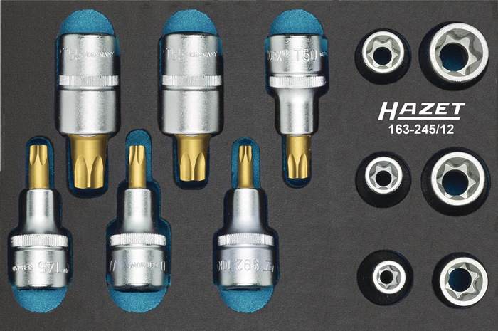 HAZET 163-245/12 Werkzeugmodul 163-245/12 12-teilig