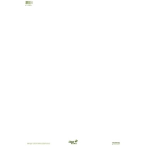 Staufen Flipchartblock Green 608580000 68x99cm 20Bl. blanko