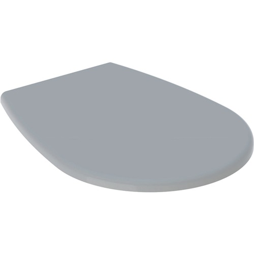 GEBERIT 572165010 WC-Sitz Renova mit Deckel Scharniere Edelstahl, manhattan schr