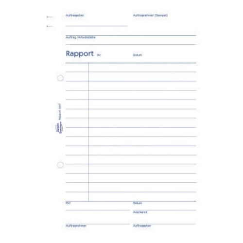 Avery Zweckform Rapport 01307 DIN A5 100Blatt