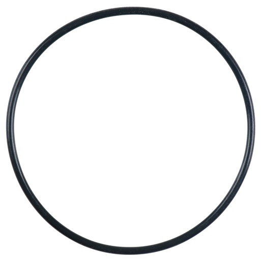 KS-Tools 515.1200-R022P O-Ring