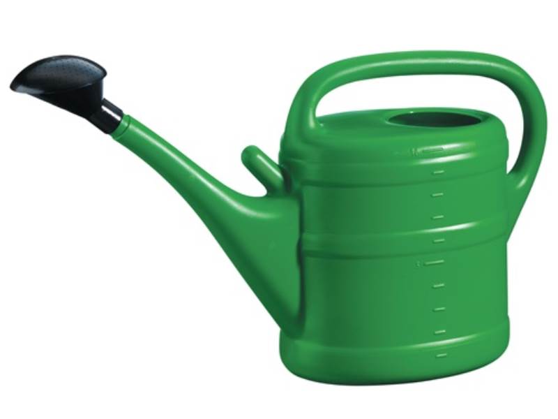 Gießkanne 10 l grün Kunststoff mit Brause