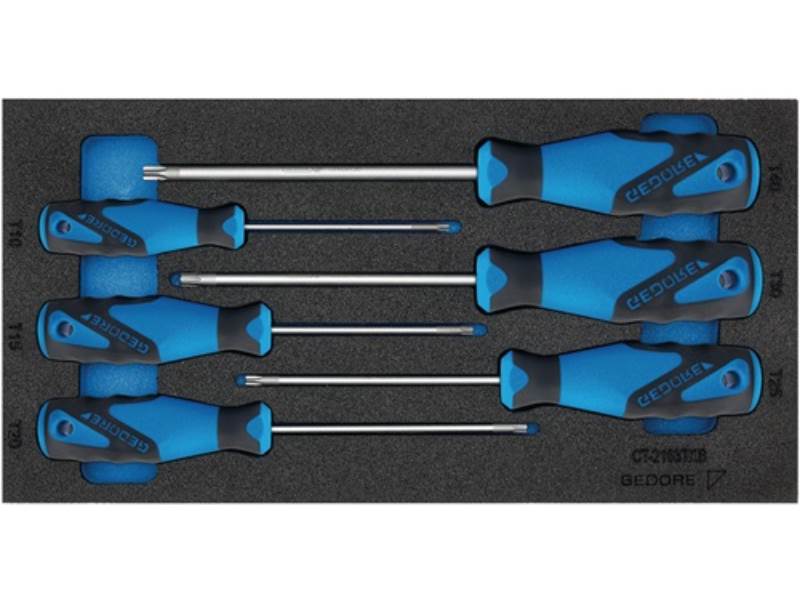 GEDORE 2309157 Werkzeugmodul 1500 CT1-2163 TX 6-teilig  1/3-Modul Schraubendrehe